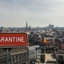Карантин для зараженных осп обезьян ввели в Бельгии