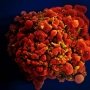 Пацієнт контролює реплікацію ВІЛ… власними силами