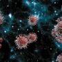 Достижение Зеленского: что представляют собой «инновационные препараты» против COVID-19, которые подарят Украине США?