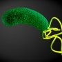Кларитроміцин марний при Helicobacter pylori