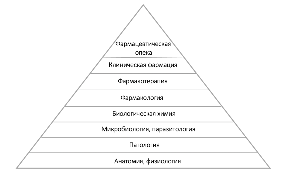 При приеме желчегонных цвет стула